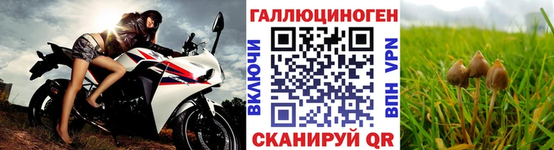 Галлюциногенные грибы GOLDEN TEACHER  Купить где  Уяр 