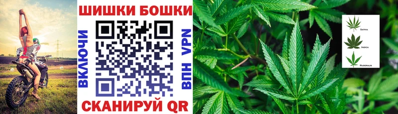 Бошки Шишки марихуана Уяр
